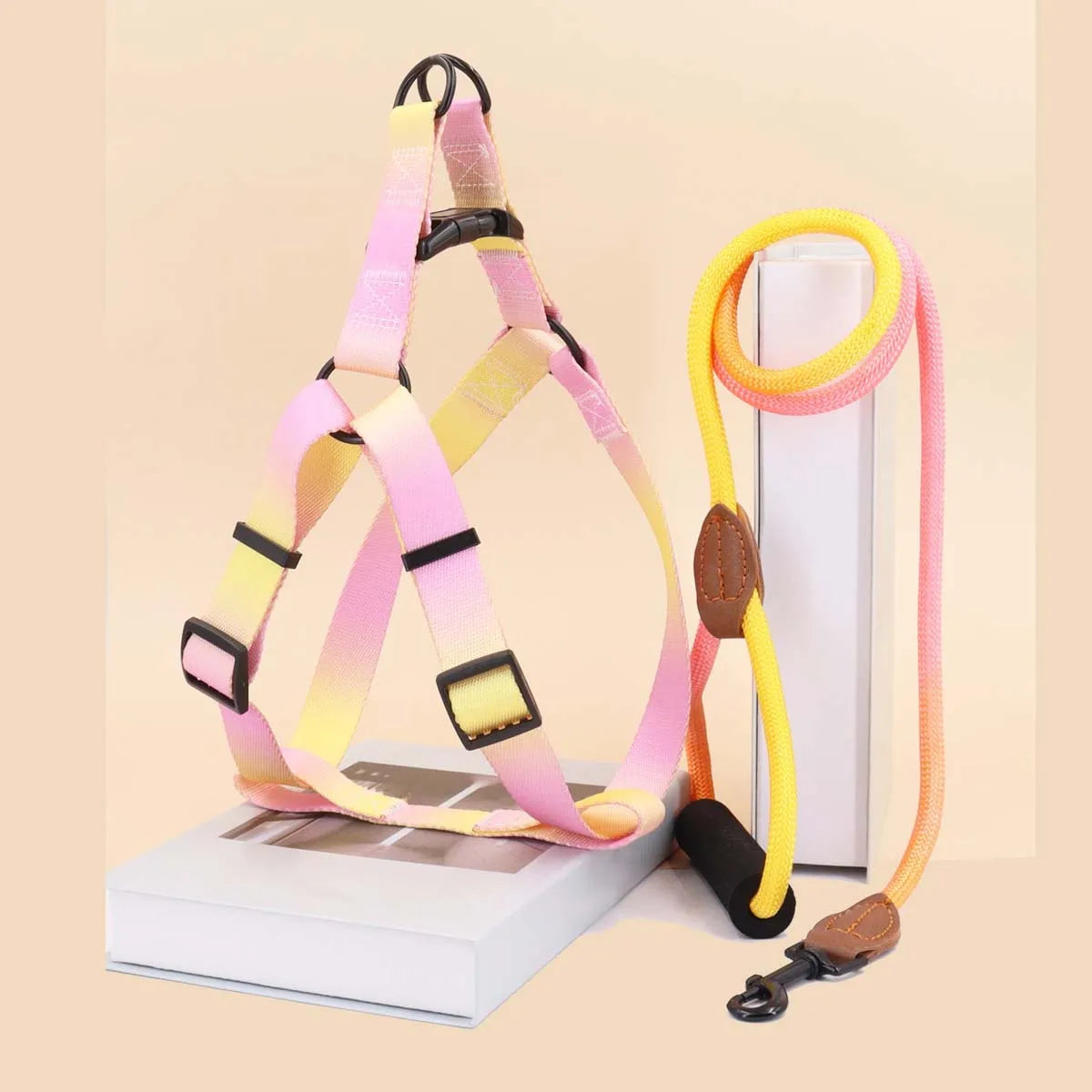 Colorful Pet Harness and Leash Set for Indoor and Outdoor Use