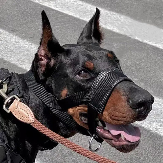 Anti-Bite Dog Muzzle for Walking and Outdoor Use