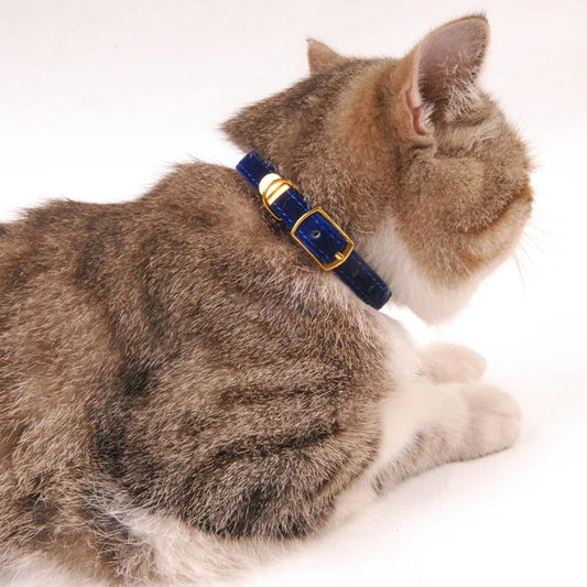 Safe Cat Collar with Bell for Small Dogs and Kittens