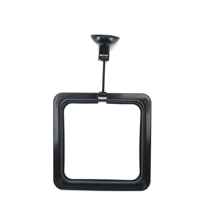 Portable Fish Feeding Ring with Suction Cups for Aquariums