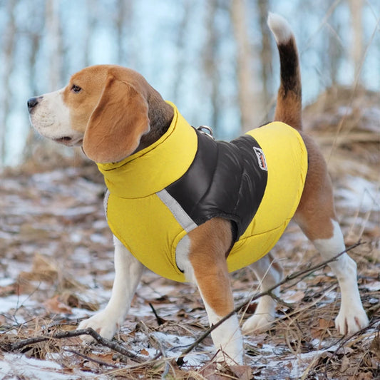 Waterproof Winter Dog Jacket for Small & Large Dogs