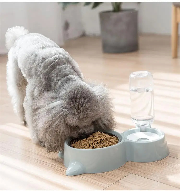 Automatic Pet Water and Food Bowl Fountain for Cats and Dogs