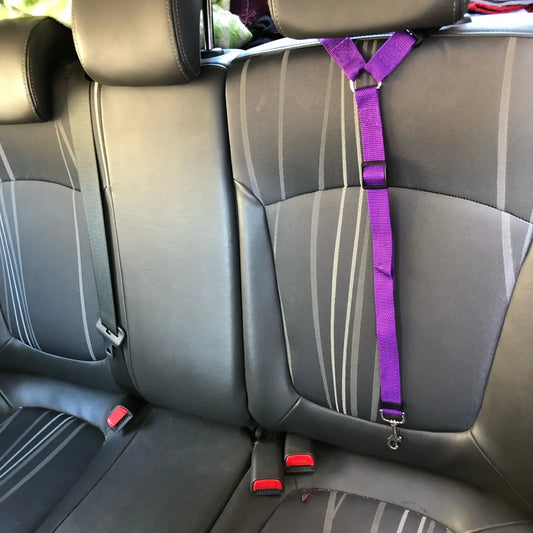Adjustable Two-in-One Pet Car Seat Belt and Leash