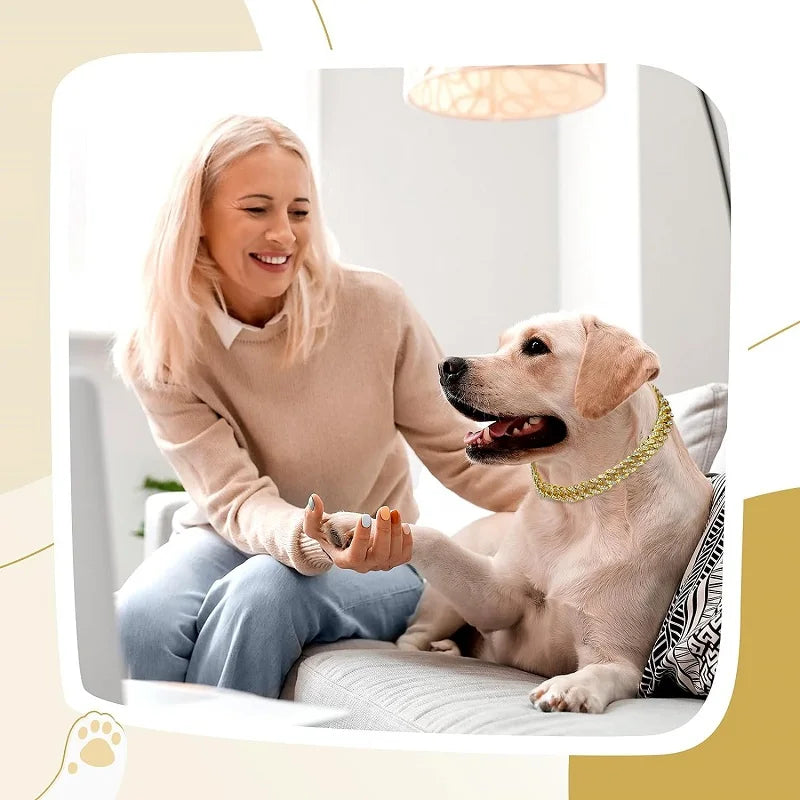 Gold Metal Dog Chain Collar for Small to Large Pets