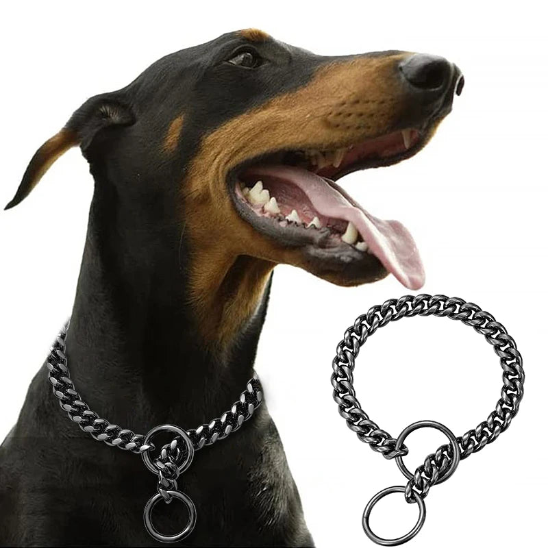 Gold Stainless Steel Chain Collar for Medium & Large Dogs