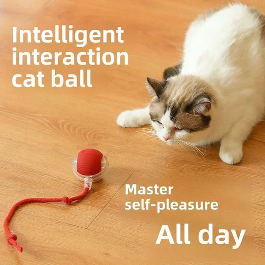 Rechargeable Electric Interactive Ball for Dogs and Cats