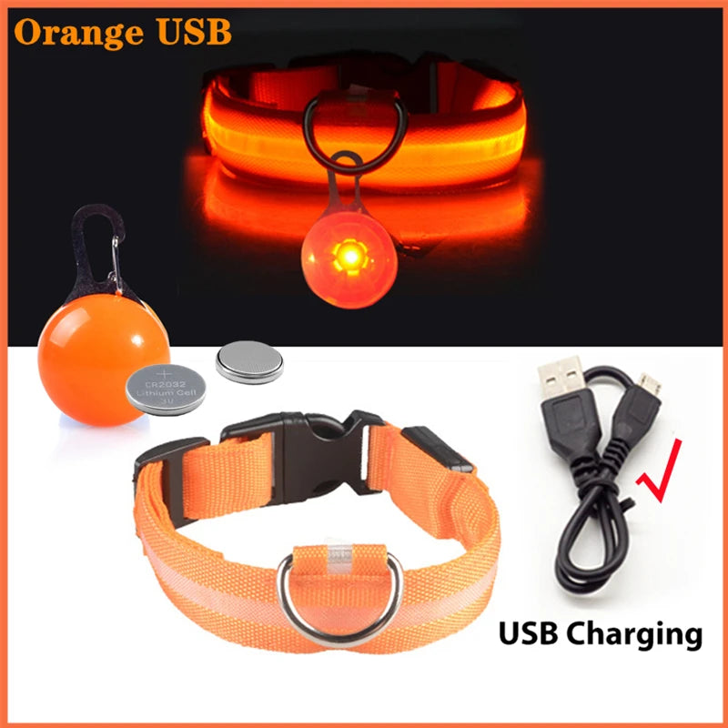 LED Light-Up Dog Collar for Night Safety - USB Rechargeable