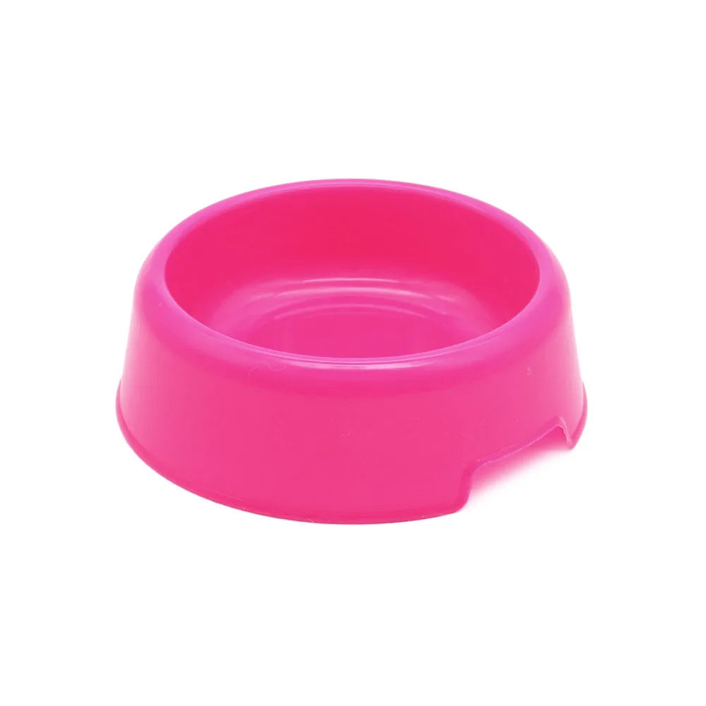 Cat and Small Dog Feeding Bowl and Water Dish Set
