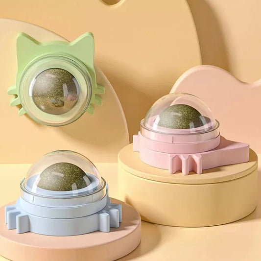 Catnip Lollipop Treat for Dental Care and Fresh Breath