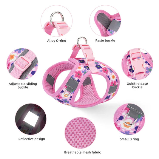 Printed 360° Fit Pet Harness with 1.5m Leash for Dogs & Cats