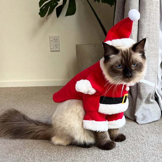 Christmas Cat and Dog Santa Costumes for Festive Parties