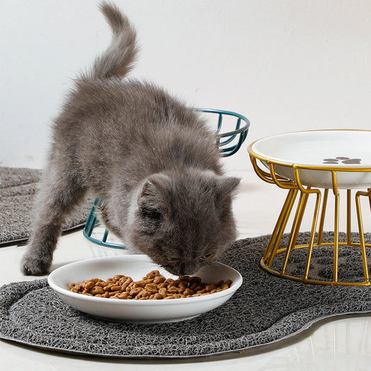 Whisker-Friendly Ceramic Cat Bowl with Stand for Food & Water