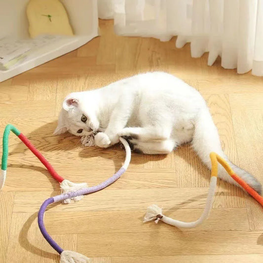 Chew-Resistant Cat Teaser Toys for Kittens and Playtime