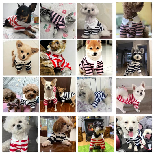 Stripe Polo Shirt for Small Dogs - Cooling Vest for Pets