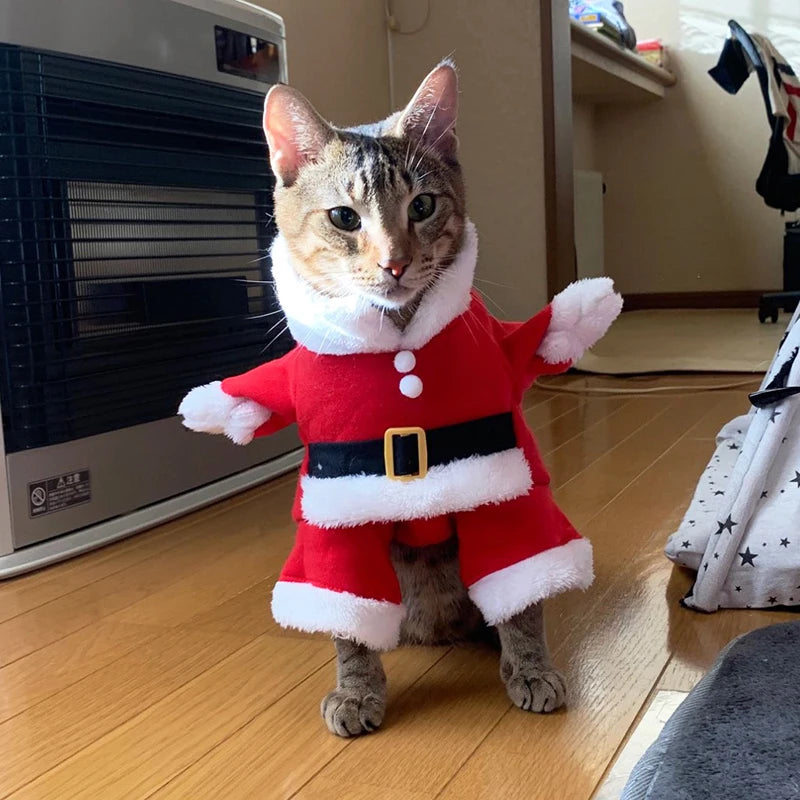 Christmas Cat and Dog Santa Costumes for Festive Parties