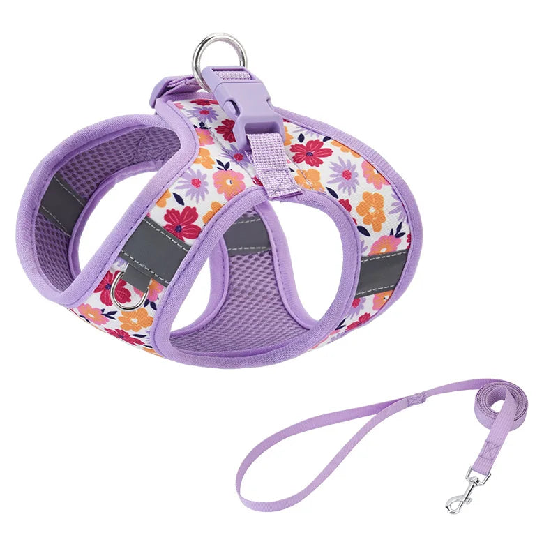Printed 360° Fit Pet Harness with 1.5m Leash for Dogs & Cats