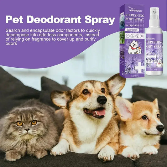 Lavender Oil Pet Deodorizer Spray for Dogs and Cats