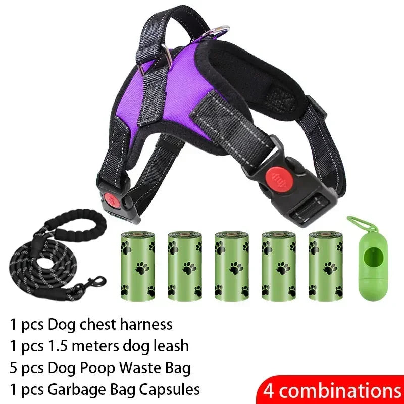Adjustable Dog Harness and Leash Set for Small to Medium Dogs