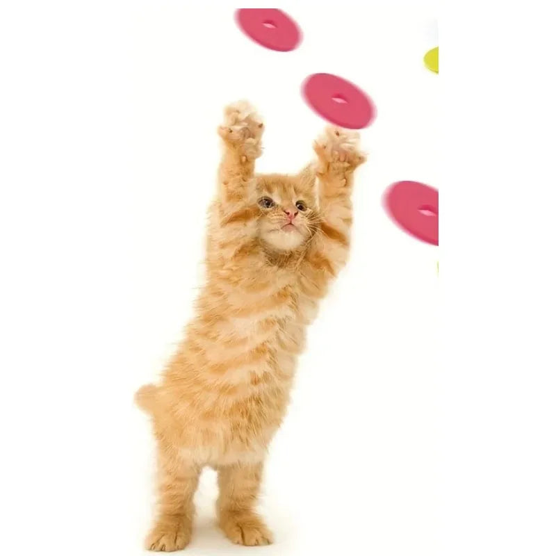 15pcs Reusable Foam Discs for Dog and Cat Playtime