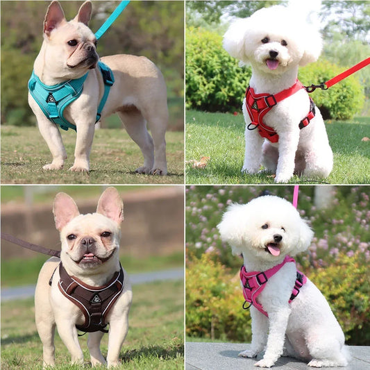 Adjustable No-Pull Dog Harness with 1.5m Leash Set