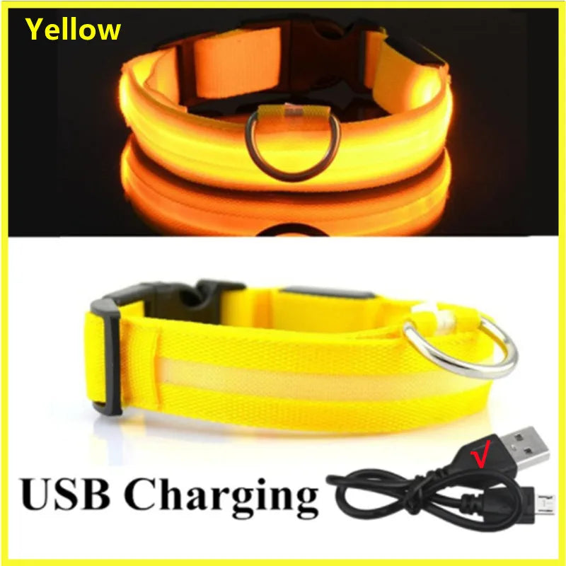 LED Glowing USB Rechargeable Pet Safety Collar for Dogs and Cats