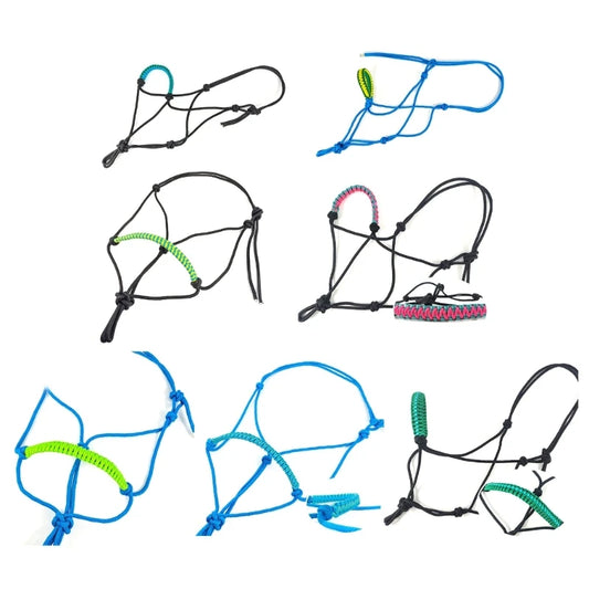 Horse Training Headstall with Leading Rope and Halter