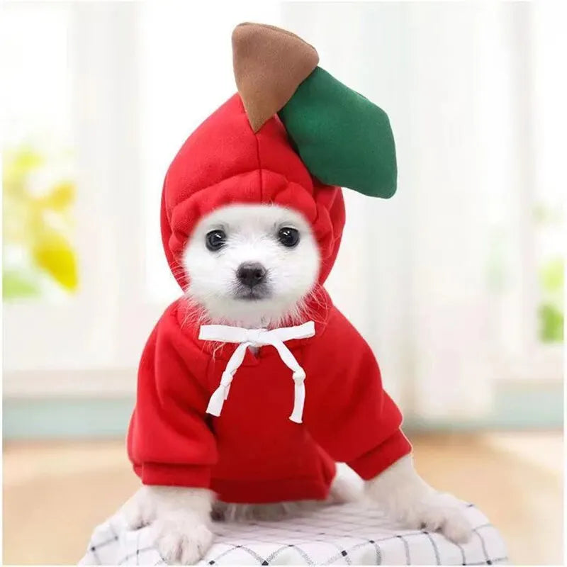 Funny Dog Hoodie Costume with Hat for Pets