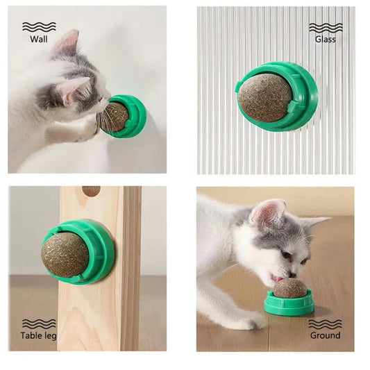 Natural Catnip Wall Ball Toy for Healthy Digestion