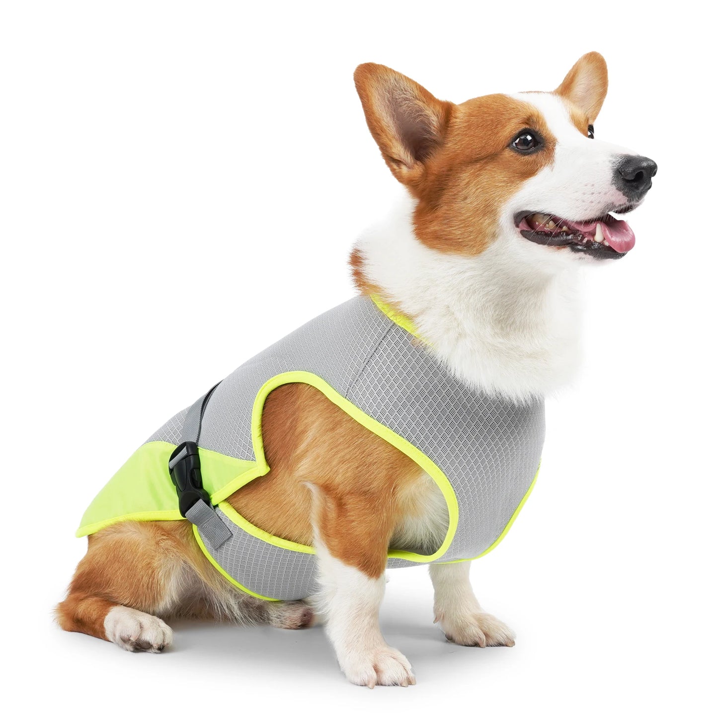 Adjustable Cooling Vest for Dogs - Lightweight & Reflective