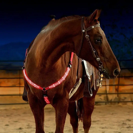 USB Rechargeable Horse Breastplate Harness with Night Visibility