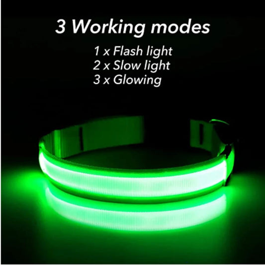 LED Glowing USB Rechargeable Pet Safety Collar for Dogs and Cats