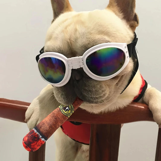 Chewable Cigar Toy for Pets - Dental Care and Boredom Relief
