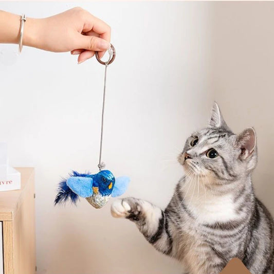 Interactive Wall Hanging Cat Toy with Sound and Catnip