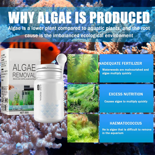 Aquarium Algae Cleaning Powder & Tablet for Fish Tanks