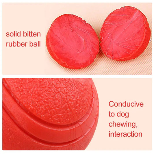 Bite-Resistant Rubber Dog Ball Toy for Puppies and Dogs