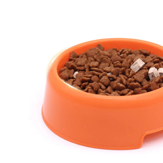 Cat and Small Dog Feeding Bowl and Water Dish Set