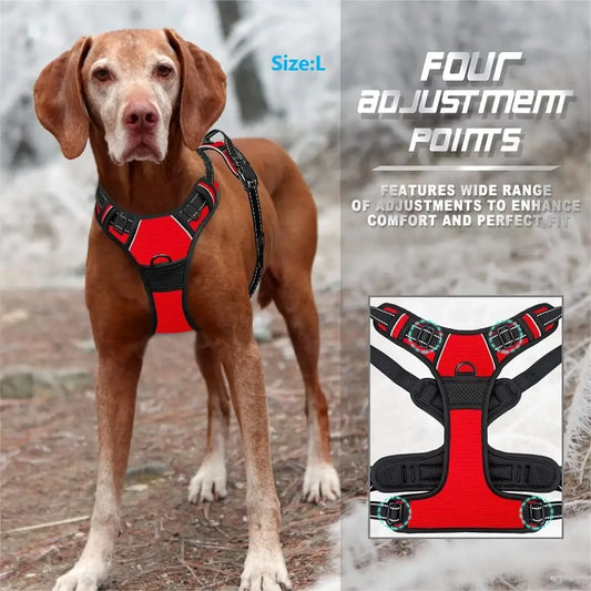 Leather Dog Collars and Harness Set for Medium and Small Dogs