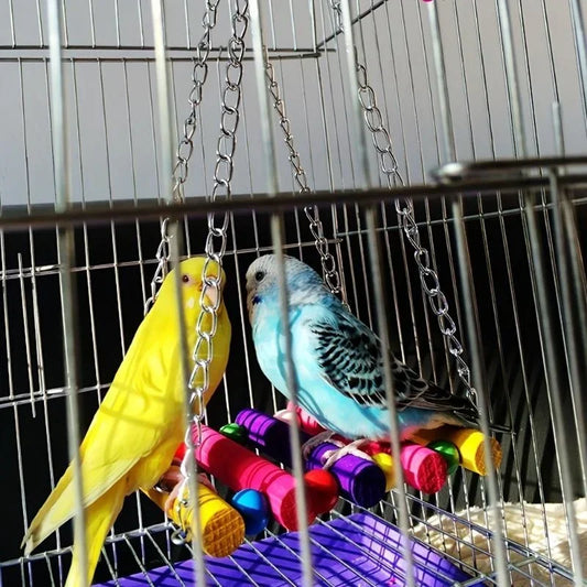 Colorful Hammock Swing Toy for Parrots and Birds