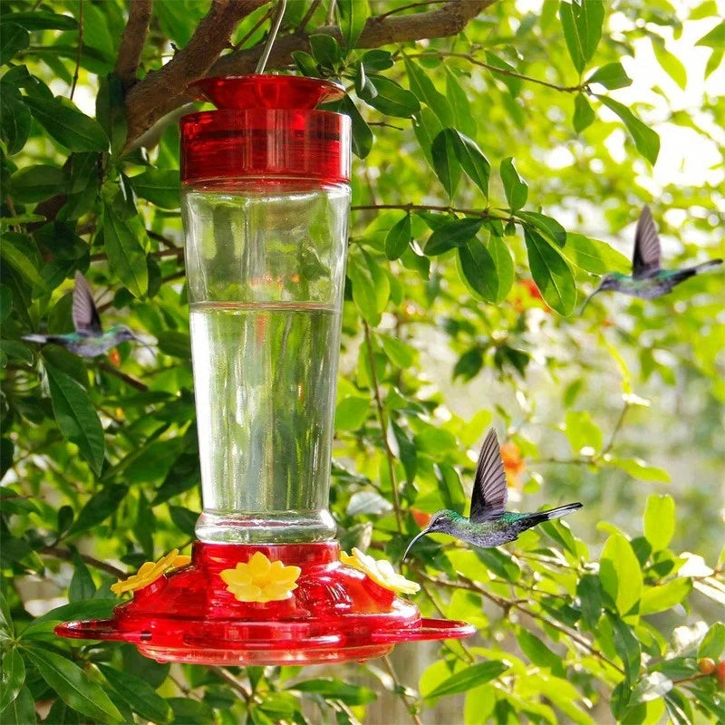 Hummingbird Feeder with 5 Nectar Ports and Hook - 13.5oz