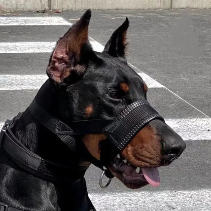 Anti-Bite Dog Muzzle for Walking and Outdoor Use