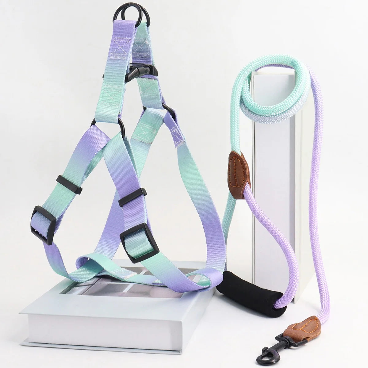 Colorful Pet Harness and Leash Set for Indoor and Outdoor Use
