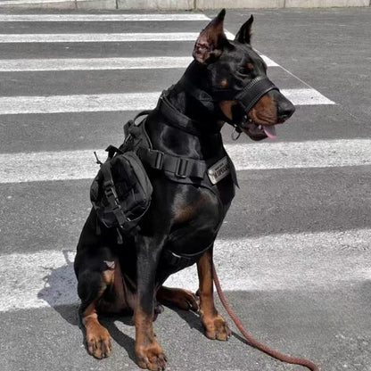 Anti-Bite Dog Muzzle for Walking and Outdoor Use