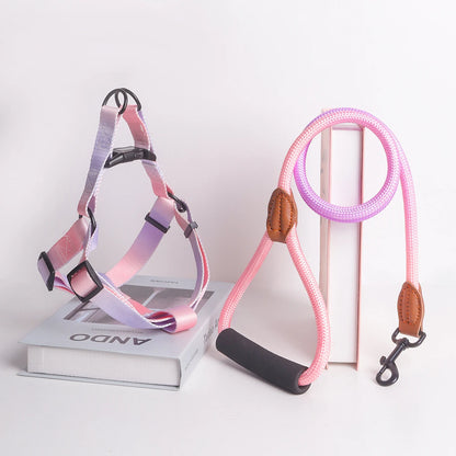 Colorful Pet Harness and Leash Set for Indoor and Outdoor Use