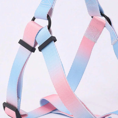 Colorful Pet Harness and Leash Set for Indoor and Outdoor Use