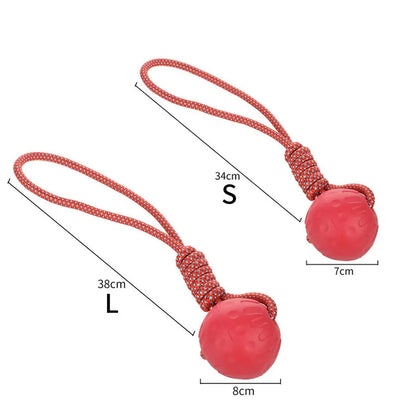 Bite-Resistant Rubber Dog Ball Toy for Puppies and Dogs