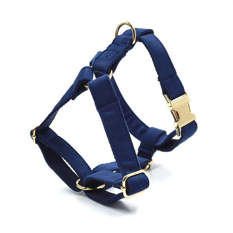 Personalized Deep Blue Velvet Dog Harness and Leash Set