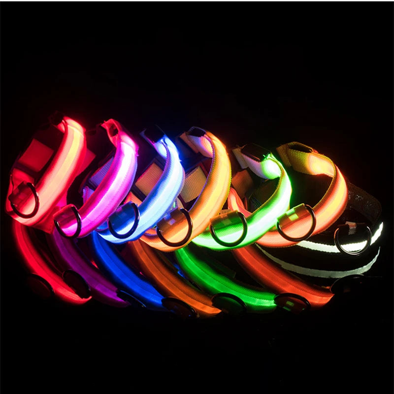 LED Light-Up Dog Collar for Night Safety - USB Rechargeable