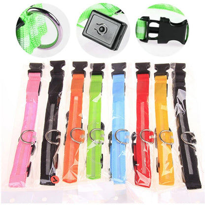 LED Light-Up Dog Collar for Night Safety - USB Rechargeable
