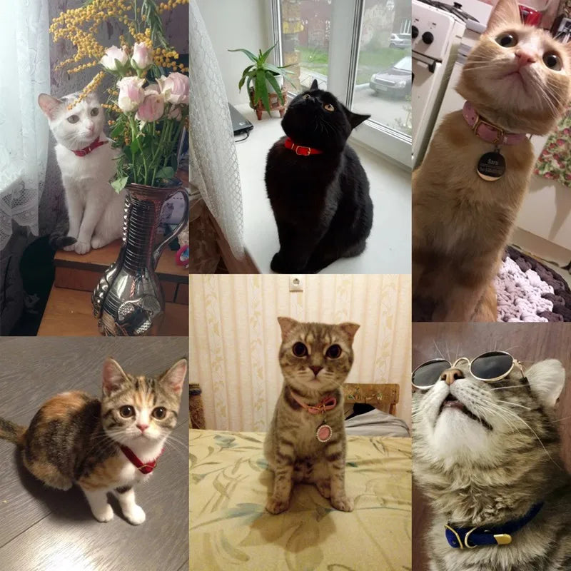 Safe Cat Collar with Bell for Small Dogs and Kittens