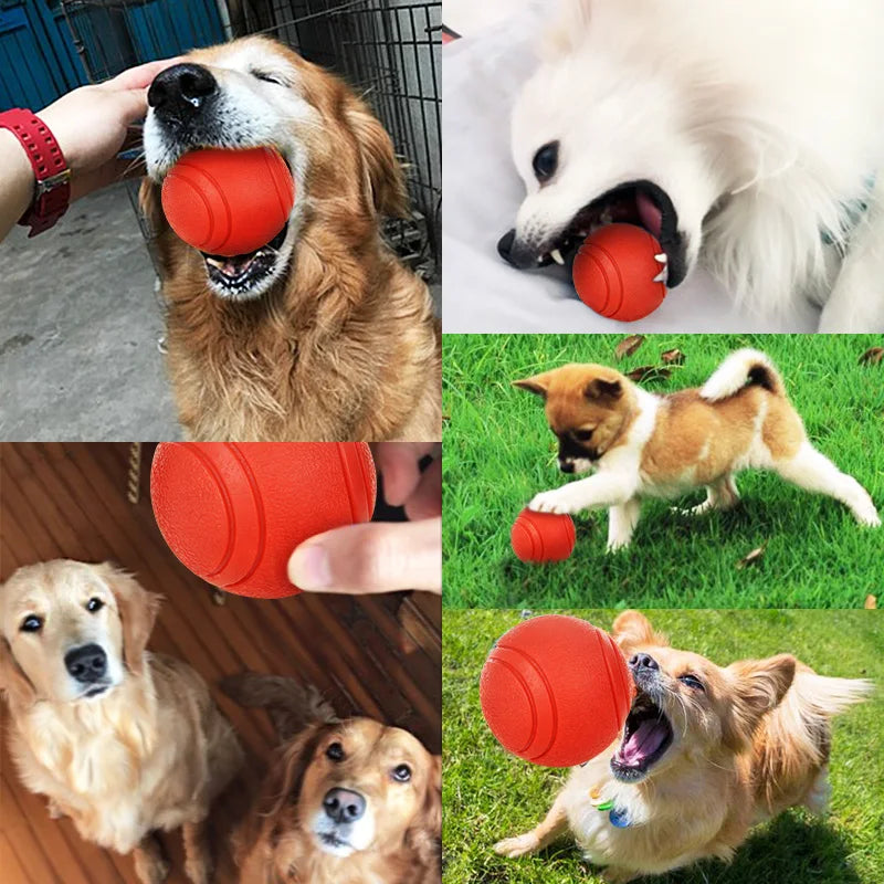 Bite-Resistant Rubber Dog Ball Toy for Puppies and Dogs